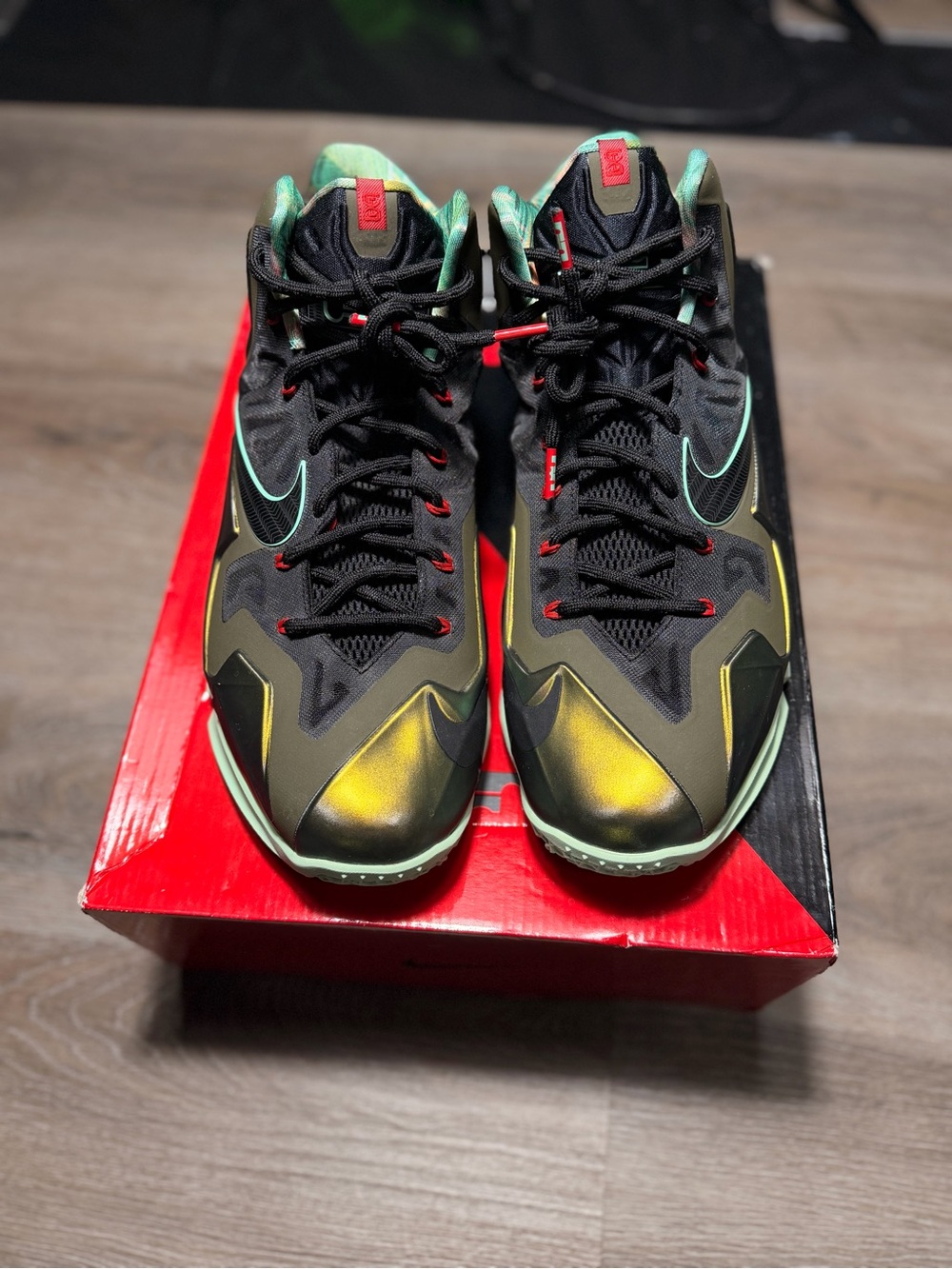 LeBron 11 Kings Pride (2013) Worn 1x